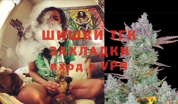 ПСИЛОЦИБИНОВЫЕ ГРИБЫ Осташков