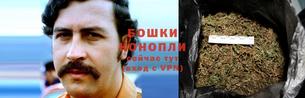 PSILOCYBIN Остров