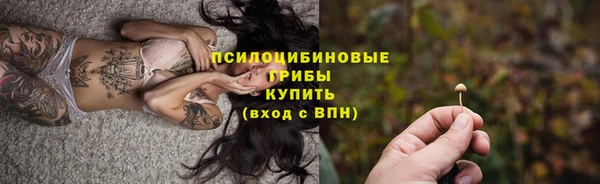 герыч Бикин
