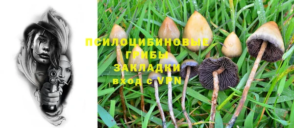 PSILOCYBIN Остров