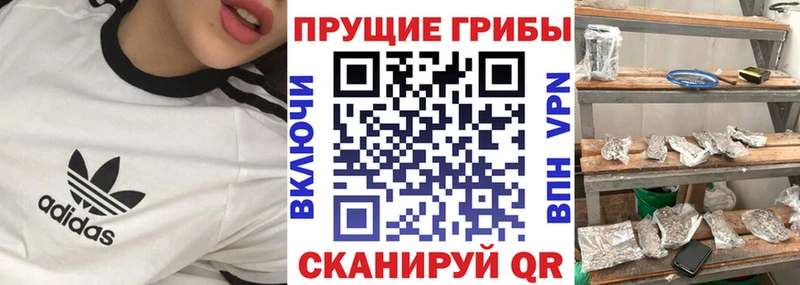 Галлюциногенные грибы Cubensis Монино